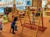 IMG_20250207_081448-Copy