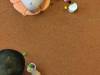 IMG_20250207_093809-Copy