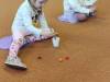 IMG_20250207_093904-Copy
