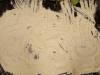IMG20250127074148-Copy