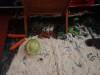 IMG20250127131739-Copy