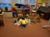 IMG20250128080645-Copy