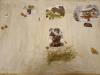 IMG20250129075845-Copy