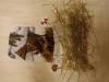IMG20250129075851-Copy