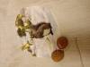 IMG20250129075903-Copy