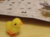 IMG20250129083902-Copy