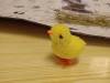 IMG20250129083915-Copy