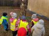 IMG20250130110450-Copy