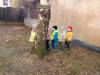 IMG20250130110457-Copy