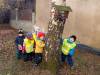 IMG20250130110547-Copy