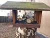 IMG20250130110559-Copy