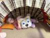 IMG_1034-Copy