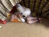 IMG_1037-Copy
