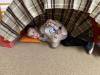 IMG_1041-Copy