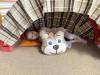IMG_1042-Copy