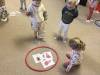 IMG_1066-Copy
