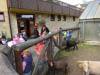 DSC00650