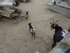 DSC07644