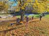 IMG-20231111-WA0003