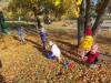 IMG-20231111-WA0025