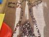 IMG-20231114-WA0019