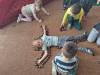IMG-20231114-WA0025