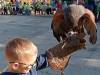 IMG_20261006_101307
