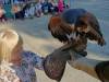 IMG_20261006_101408