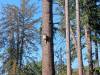 IMG_20261008_103855