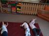 IMG-20251007-WA0024