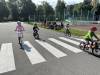 IMG_3531-Copy