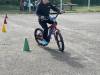 IMG_3555-Copy