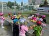 IMG_3569-Copy