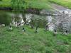20220526_105309-Copy