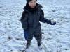 IMG_0269-Copy
