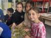 IMG_2589-Copy