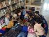 IMG_2597-Copy