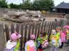 IMG_20260610_090845-Copy