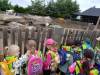 IMG_20260610_090849-Copy