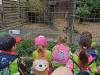 IMG_20260610_091639-Copy
