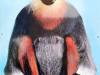 IMG_20260610_092337-Copy