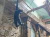 IMG_20260610_093321-Copy