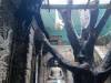 IMG_20260610_093342-Copy