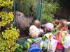 IMG_20260610_093458-Copy