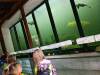 IMG_20260610_094023-Copy