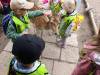 IMG_20260610_094826-Copy