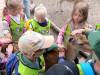 IMG_20260610_094833-Copy