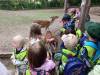 IMG_20260610_094839-Copy