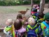 IMG_20260610_094840-Copy