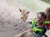IMG_20260610_094905-Copy